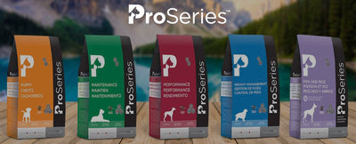 Pro Series - Dog