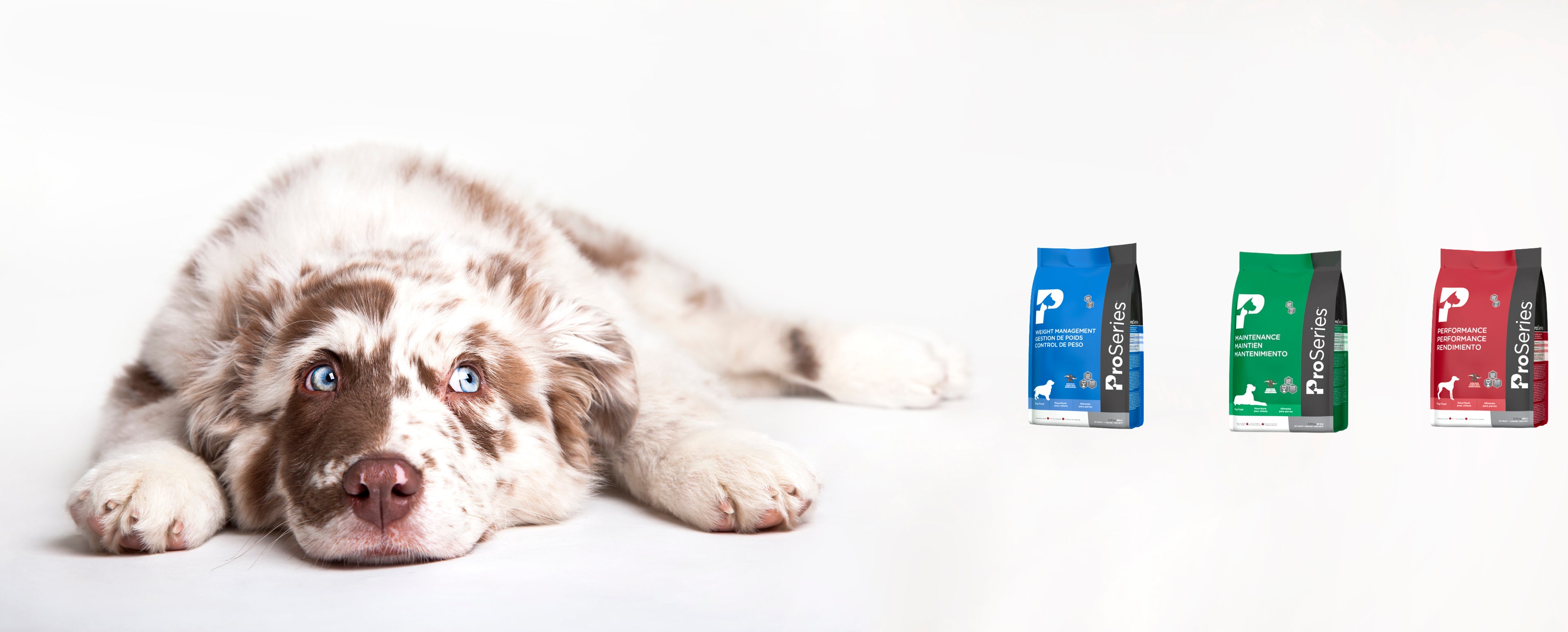 Petsky Canada Nourriture pour chien et chat